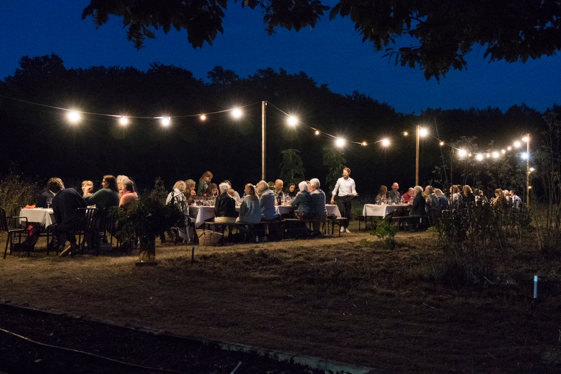 Botanical dinner on the hill